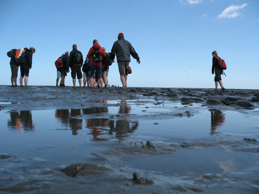 Wattwanderung Baltrum