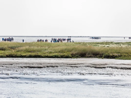 Wattwanderung Neßmersiel