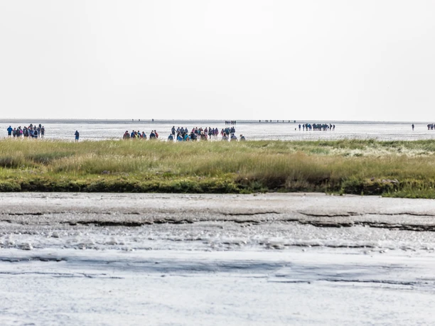 Wattwanderung Neßmersiel