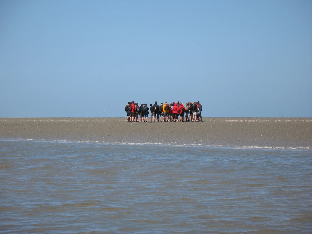 Baltrum Wattwanderung.JPG