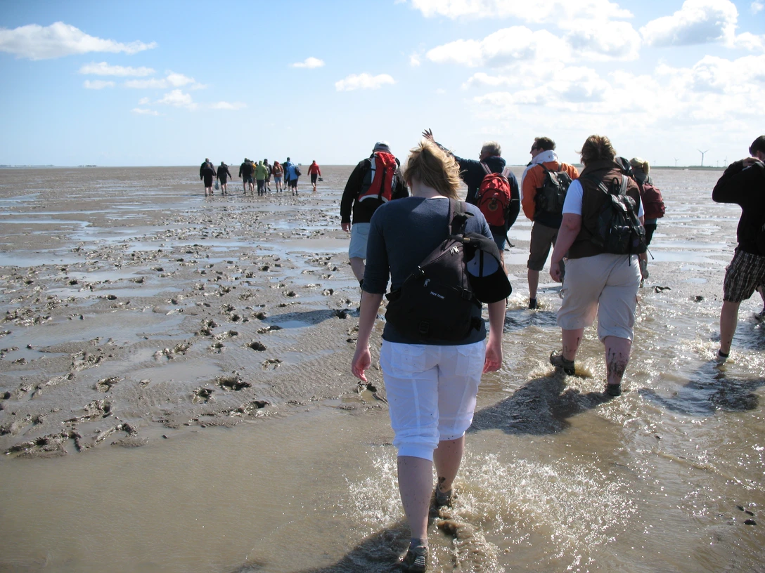 Baltrum Wattwanderung.JPG