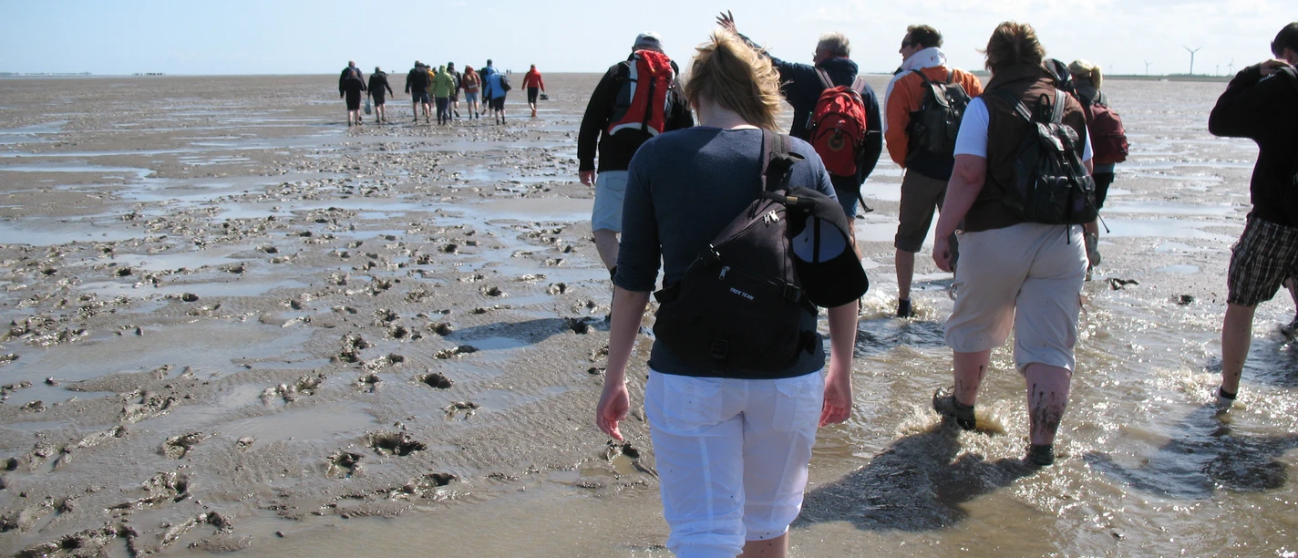 Baltrum Wattwanderung.JPG