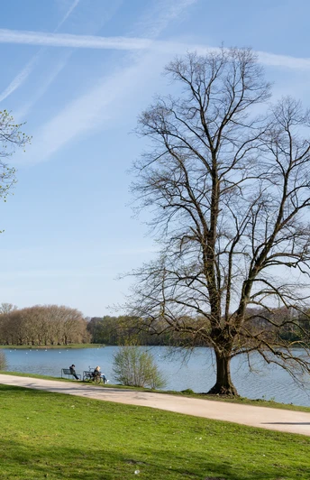 Frühjahr am Decksteiner Weiher