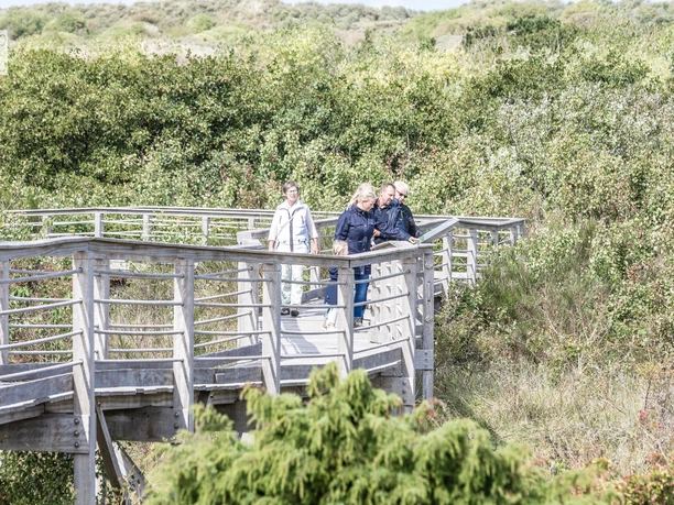 Otto Leege Pfad Juist