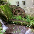 Papiermühle Berlebeck Historische Papiermühle Berlebeck: Wasserrad neben Mooswachstum an steiniger Gebäudeaußenwand im Grünen.