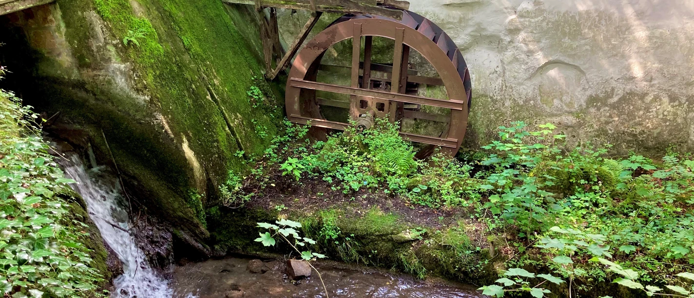Papiermühle Berlebeck Historische Papiermühle Berlebeck: Wasserrad neben Mooswachstum an steiniger Gebäudeaußenwand im Grünen.