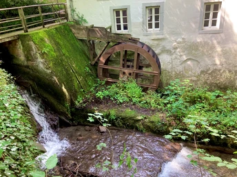 Papiermühle Berlebeck Historische Papiermühle Berlebeck: Wasserrad neben Mooswachstum an steiniger Gebäudeaußenwand im Grünen.