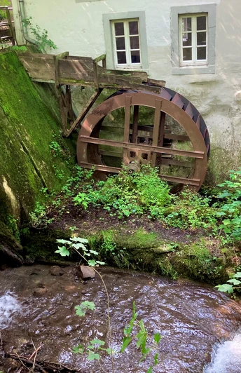 Papiermühle Berlebeck Historische Papiermühle Berlebeck: Wasserrad neben Mooswachstum an steiniger Gebäudeaußenwand im Grünen.