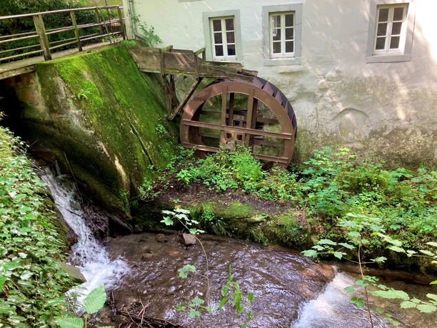 Papiermühle Berlebeck Historische Papiermühle Berlebeck: Wasserrad neben Mooswachstum an steiniger Gebäudeaußenwand im Grünen.