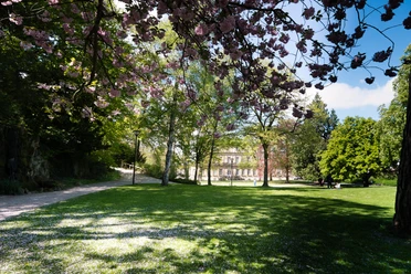 Palaisgarten Detmold Blühende Kirschbäume rahmen einen gepflegten Garten mit Spazierweg und historischem Gebäude im Hintergrund.