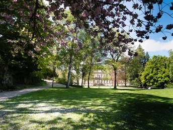 Palaisgarten Detmold Blühende Kirschbäume rahmen einen gepflegten Garten mit Spazierweg und historischem Gebäude im Hintergrund.