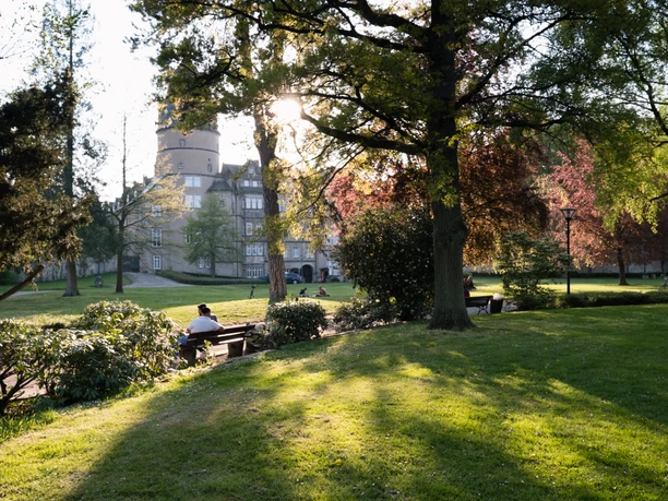 Schlosspark Detmold Ein weitläufiger Park mit grünen Wiesen und Baumgruppen, im Hintergrund erhebt sich ein Schloss.