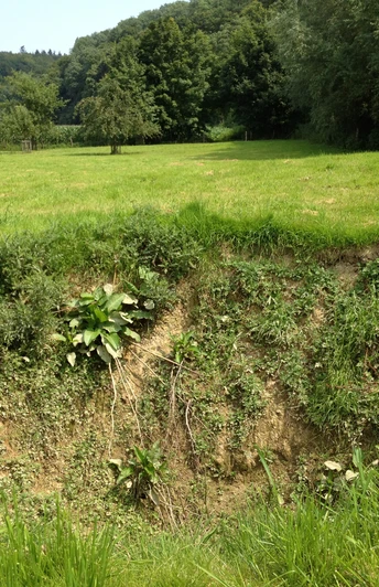 Quellschwemmkegel | Niederntudorf