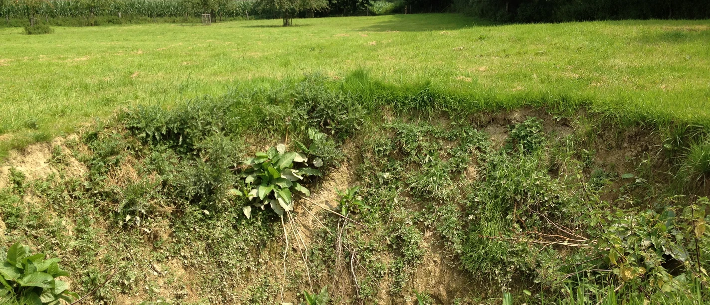 Quellschwemmkegel | Niederntudorf Quellschwemmkegel | Niederntudorf