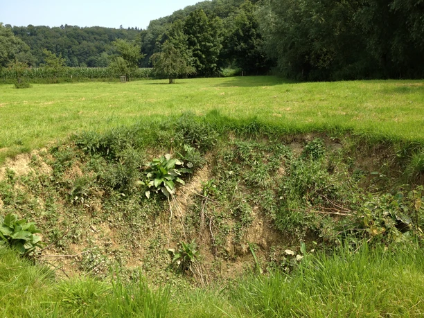 Quellschwemmkegel | Niederntudorf Quellschwemmkegel | Niederntudorf