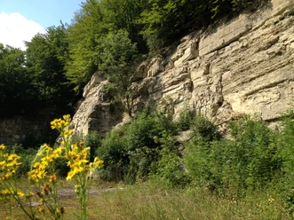 Erdkundliche Wanderung | Niederntudorf Erdkundliche Wanderung | Niederntudorf
