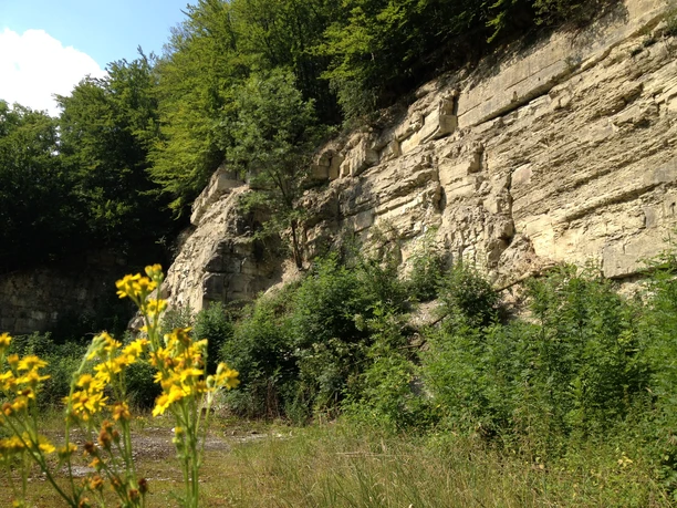 Erdkundliche Wanderung | Niederntudorf Erdkundliche Wanderung | Niederntudorf
