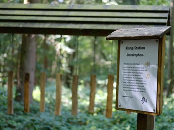 Klangstation im Wald mit hölzernen Röhren und Infotafel, umgeben von üppigem Grün der Bäume.