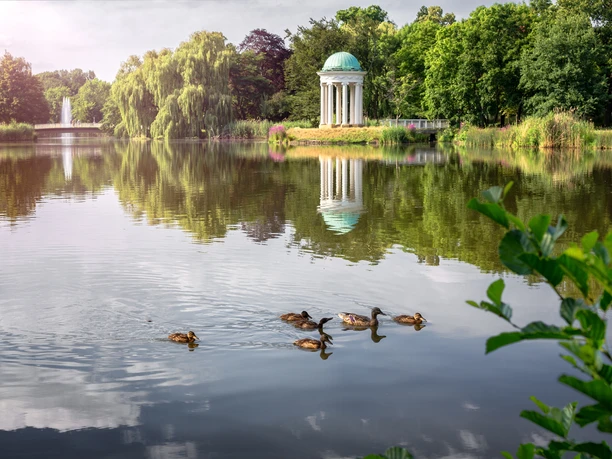 The Agra-Park in Markkleeberg in spring with a pond on which small ducks swim, Leipzig Region, Nature, Leisure, Active