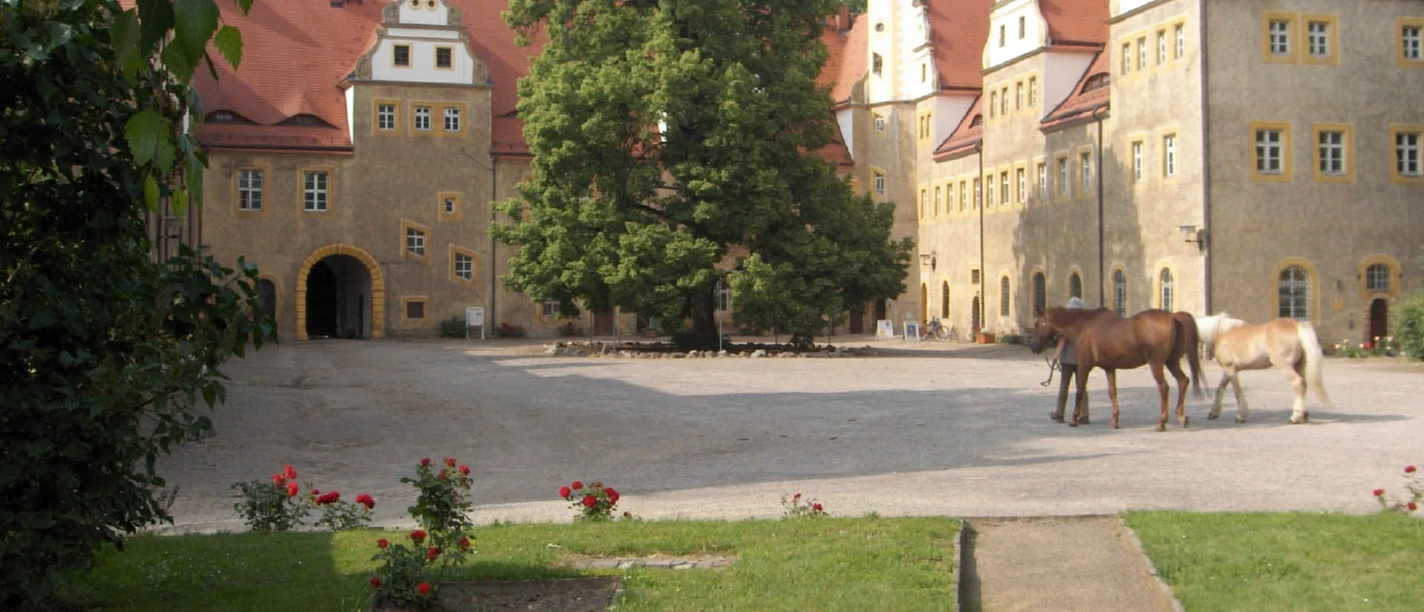 Inner courtyard of the Old Hunting Lodge Wermsdorf with trees and horses, sight, region, castle, history, culture