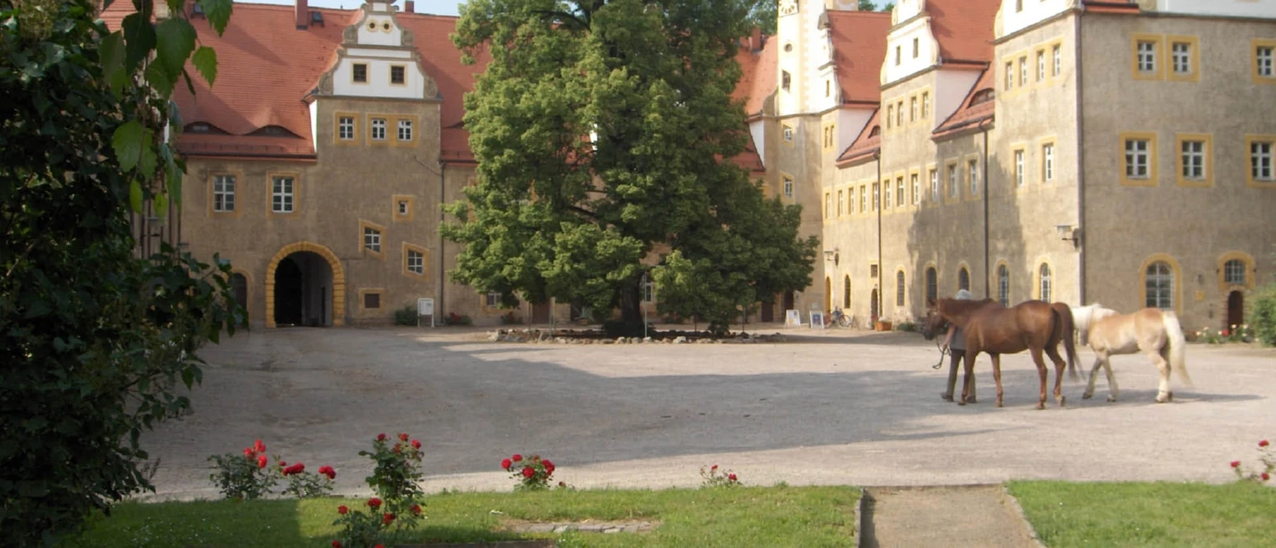 Altes Jagdschloss Wermsdorf - Sehenswürdigkeiten in der Leipzig Region Innenhof des Alten Jagdschloss Wermsdorf mit Bäumen und Pferden, Sehenswürdigkeit, Region, Schloss, Geschichte, Kultur