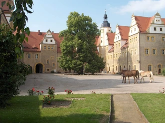 Altes Jagdschloss Wermsdorf - Zajímavá místa v regionu Lipsko Vnitřní nádvoří starého loveckého zámečku Wermsdorf se stromy a koňmi, památky, kraj, zámek, historie, kultura