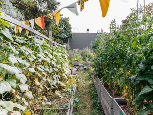 View through the rows of plants in the Annalinde Garden; wooden tub beds, colorful pennants, meadow