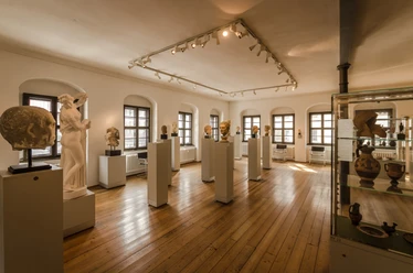 Antikenmuseum der Universität Leipzig - Museen in Leipzig Blick in einen Ausstellungsraum im Antikenmuseum der Universität Leipzig mit Exponaten und Büsten, Kultureinrichtungen, Geschichte, Museen in Leipzig