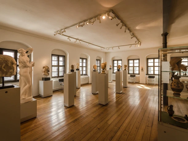 Muzeum starožitností Lipské univerzity - Muzea v Lipsku Pohled na výstavní místnost v Muzeu starožitností Lipské univerzity s exponáty a bustami, Kulturní instituce, Historie, Muzea v Lipsku