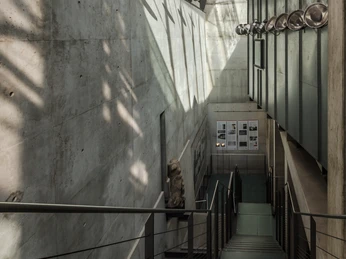 Antikenmuseum der Universität Leipzig - Museen in Leipzig Blick auf einen Treppenabgang im Antikenmuseum der Universität Leipzig der zu einem Teil der Ausstellungen führt, Kultureinrichtungen, Geschichte, Museen in Leipzig