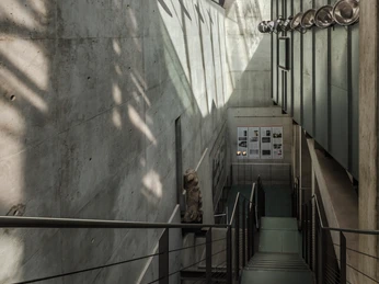 Antikenmuseum der Universität Leipzig - Museen in Leipzig Blick auf einen Treppenabgang im Antikenmuseum der Universität Leipzig der zu einem Teil der Ausstellungen führt, Kultureinrichtungen, Geschichte, Museen in Leipzig