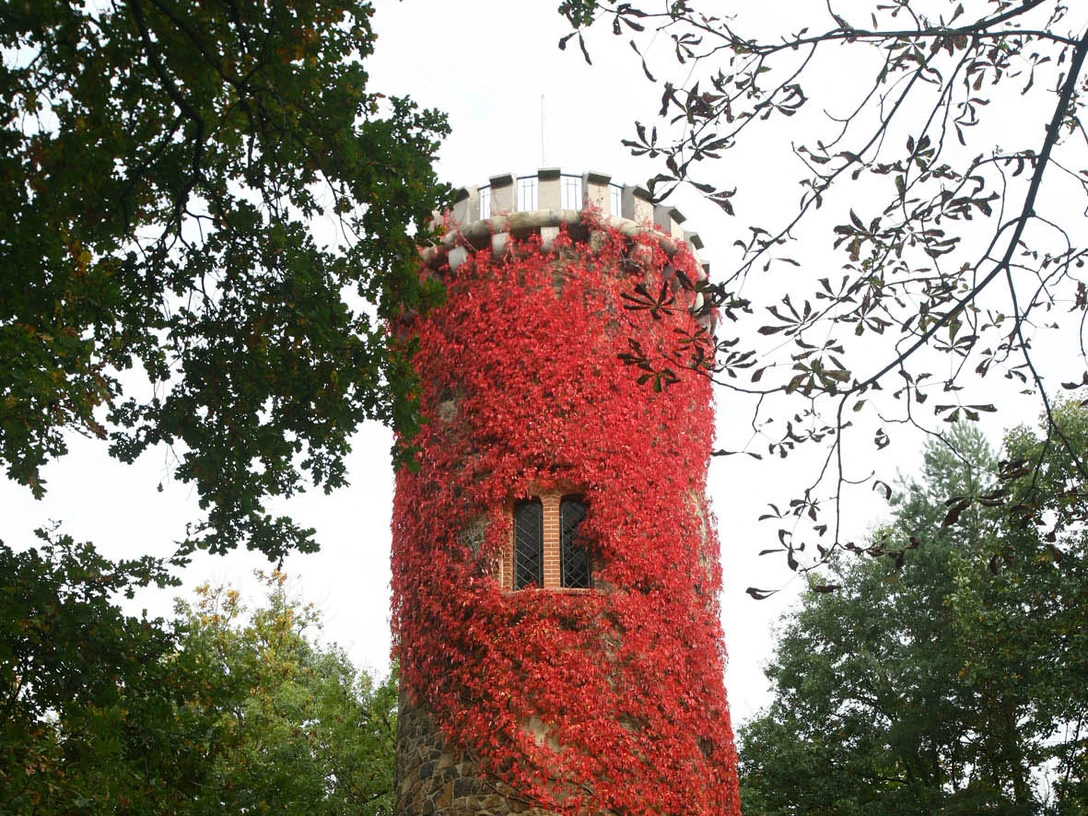 Bismarckturm im Jutta-Park Höfgen - Sehenswürdigkeiten in der Leipzig Region Mit herbstlichem Efeu bewachsener Aussichtsturm im Park, Naturerlebnisse, Aussichtstürme, Ausflugsziele, Natur, Freizeit