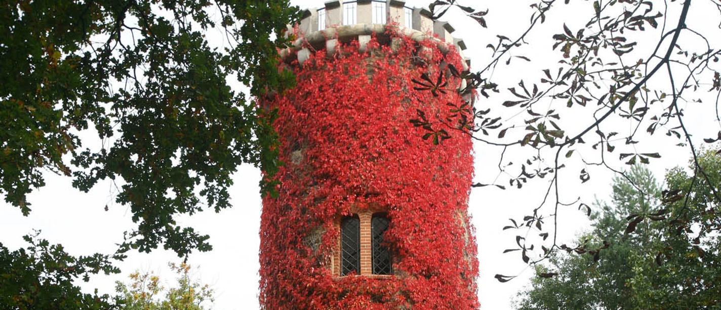 Bismarckturm im Jutta-Park Höfgen - Sehenswürdigkeiten in der Leipzig Region Mit herbstlichem Efeu bewachsener Aussichtsturm im Park, Naturerlebnisse, Aussichtstürme, Ausflugsziele, Natur, Freizeit