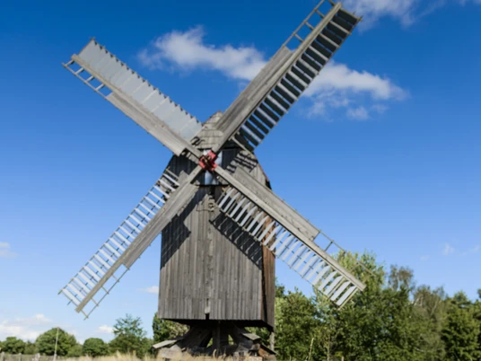 Bockwindmühle Bad Düben - Industriekultur in der Leipzig Region Im Vordergrund steht ein junges Schaf auf einer grünen Wiese, im Hintergrund vor blauem Himmel eine alte Bockwindmühle, Industriekultur, Natur, Freizeit