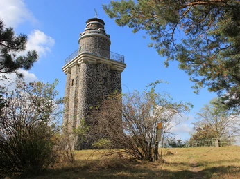 Bismarckturm auf dem Wachtelberg Wurzen - Sehenswürdigkeiten in der Leipzig Region Blick auf den Bismarckturm, umgeben von Natur, Freizeit, Aktiv, Region