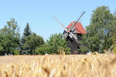 Bockwindmühle Ballendorf - Industriekultur in der Leipzig Region Blick auf die historische Bockwindmühle Ballendorf hinter einem Getreidefeld vor blauem Himmel, Industriekultur, region, ausflug
