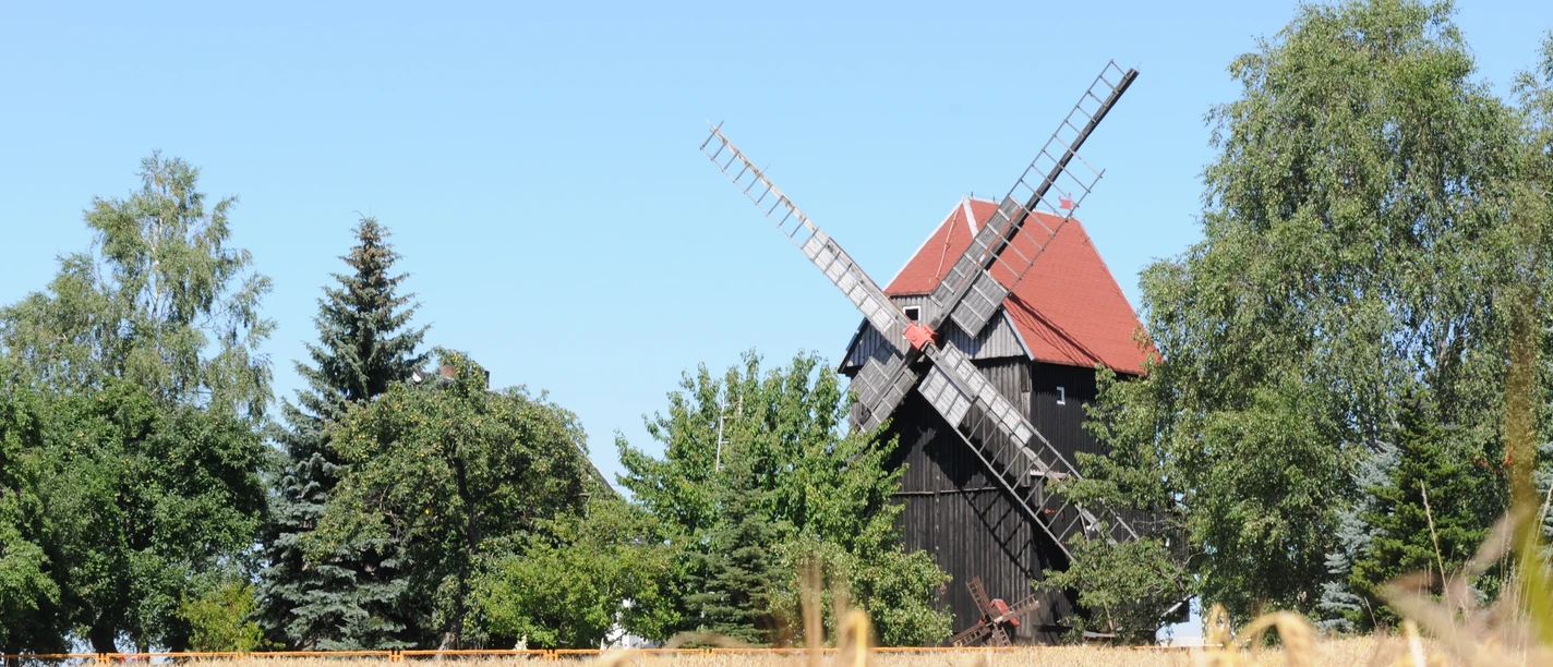 Bockwindmühle Ballendorf - Industriekultur in der Leipzig Region Blick auf die historische Bockwindmühle Ballendorf hinter einem Getreidefeld vor blauem Himmel, Industriekultur, region, ausflug