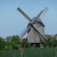 Bockwindmühle Lindennaundorf - Industriekultur in der Leipzig Region Blick auf die Bockwindmühle vor blühendem Feld, Kultur, Freizeit