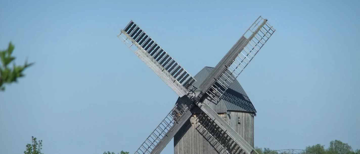 Bockwindmühle Lindennaundorf - Industriekultur in der Leipzig Region Blick auf die Bockwindmühle vor blühendem Feld, Kultur, Freizeit