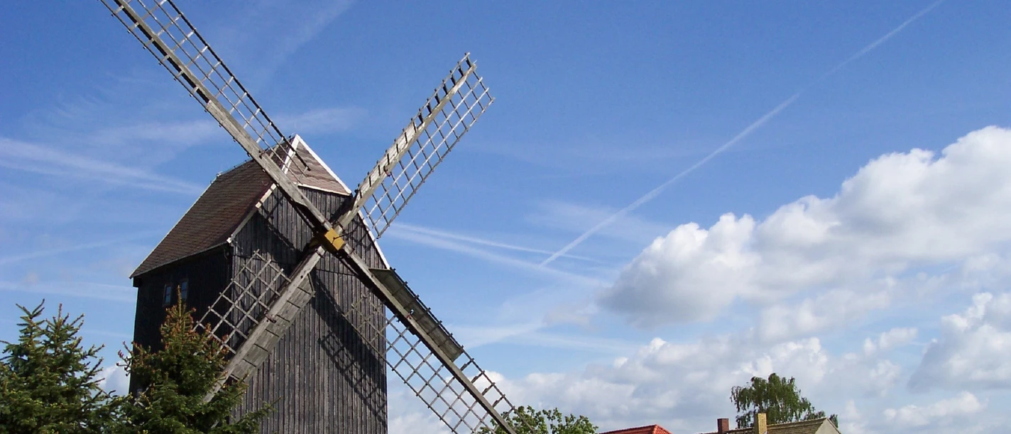 Bockwindmühle Luppa - Industriekultur in der Leipzig Region Blick auf die Bockwindmühle vor blühendem Feld, Kultur, Freizeit