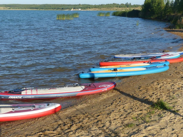Stand-up paddle boardy jsou k dispozici na písečné pláži jezera, Leipziger Neuseenland, Aktivní, Vodní sporty