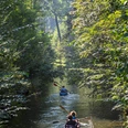 Bootsverleih Herold - Freizeiteinrichtungen in Leipzig Blick auf einen Fluss zwischen Waldbäumen auf dem Kanufahrer eine Bootstour mit Kanus des Bootsverleih Herold machen, Freizeitanbieter, Erlebnis, Freizeiteinrichtungen in Leipzig, Wassersport