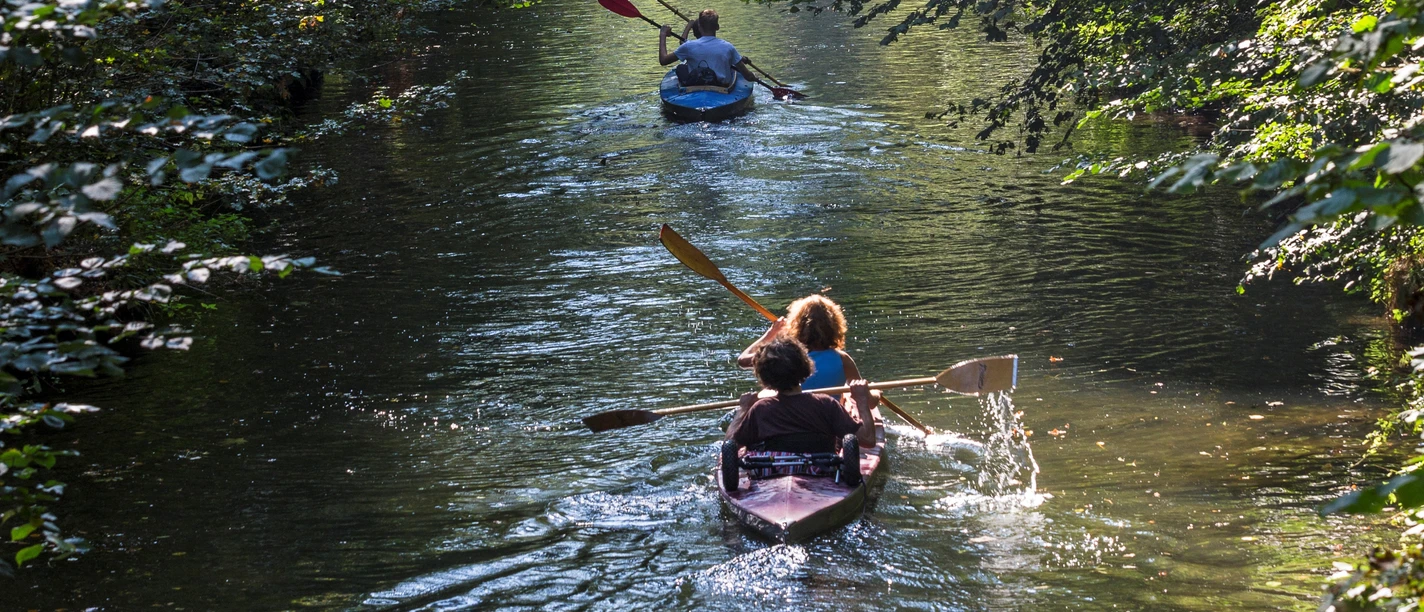 Vue sur une rivière entre les arbres de la forêt sur laquelle les canoéistes font un tour en bateau avec les canoës de Bootsverleih Herold, fournisseur de loisirs, expérience, installations de loisirs à Leipzig, sports nautiques