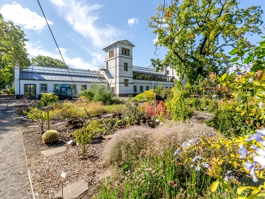 Botanischer Garten Leipzig - Freizeiteinrichtung in Leipzig Blick auf die Pflanzenwelt des Botanischen Garten, mit grünen Beeten im Vordergrund sowie einem der Gebäude im Hintergrund; Sommer, blauer Himmel, Blüten