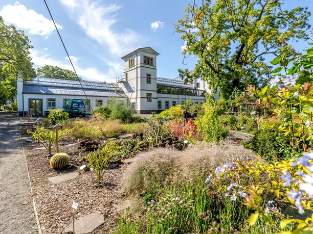 Vue de la flore du jardin botanique, avec des parterres verts au premier plan ainsi qu'un des bâtiments à l'arrière-plan ; été, ciel bleu, fleurs