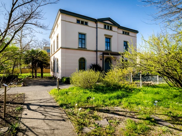 Widok na zielony ogród i budynek w ogrodzie botanicznym w letni dzień, park, edukacja, zieleń