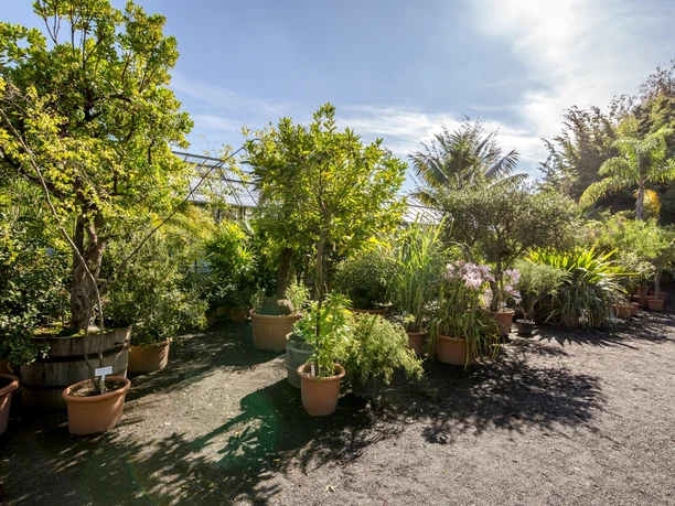 View of the stock in Leipzig Botanical Garden, Nature, Leisure, Education