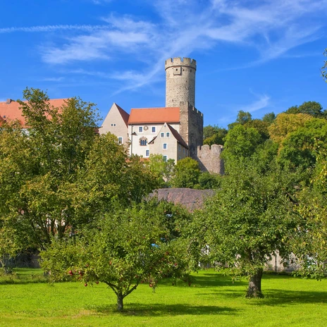 Grüne Sommerwiese mit Burg Gandstein im Hintergrund, Ausflugsziele, Kultur, Sehenswürdigkeiten