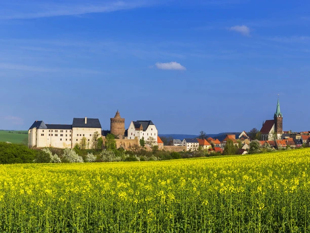 Panoramatický pohled na hrad Mildenstein a sousední Leisnig, v popředí řepkové pole, památky, výletní cíle