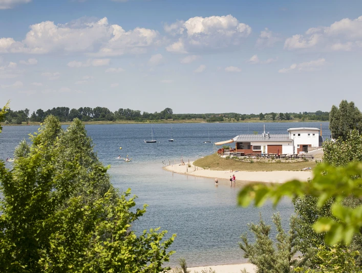 Schladitzer See - Leipziger Neuseenland Zwischen grünen Bäumen blickt man auf den Schladitzer See und dem Strandufer